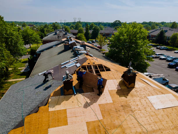 Best Storm Damage Roof Repair  in Schoolcraft, MI