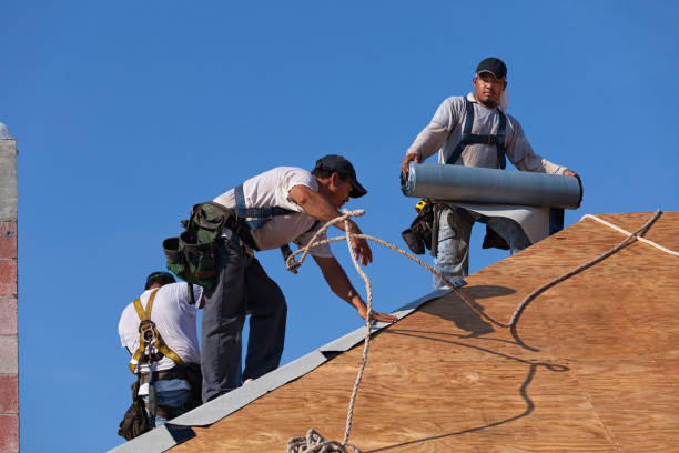 Best Roof Leak Repair  in Schoolcraft, MI