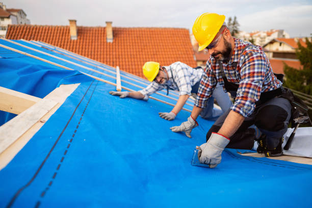 Best Residential Roofing Contractor  in Schoolcraft, MI