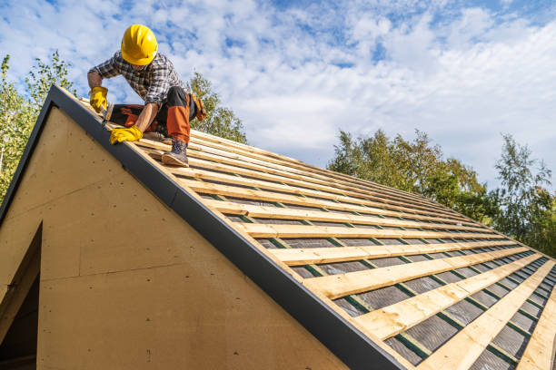 Best Local Roofing Companies  in Schoolcraft, MI